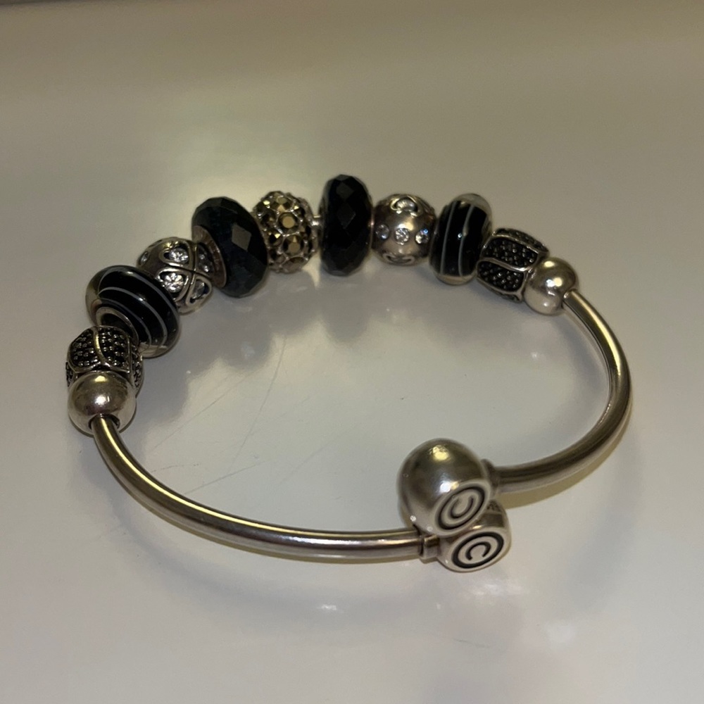 9 Assorted Authentic Chamilia charms